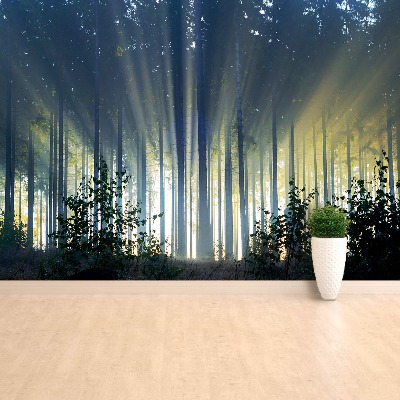 Mural de parede Floresta de abetos