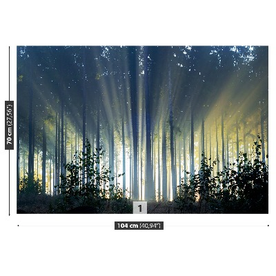 Mural de parede Floresta de abetos