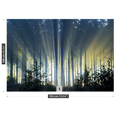 Mural de parede Floresta de abetos