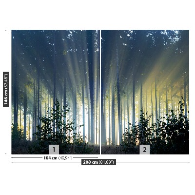 Mural de parede Floresta de abetos