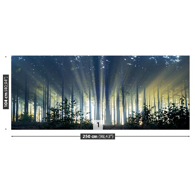 Mural de parede Floresta de abetos