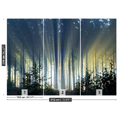 Mural de parede Floresta de abetos