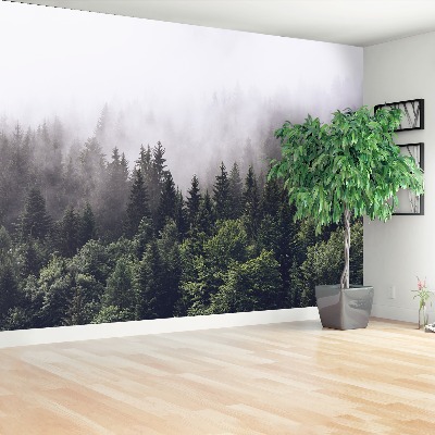 Papel de parede Floresta da Montanha