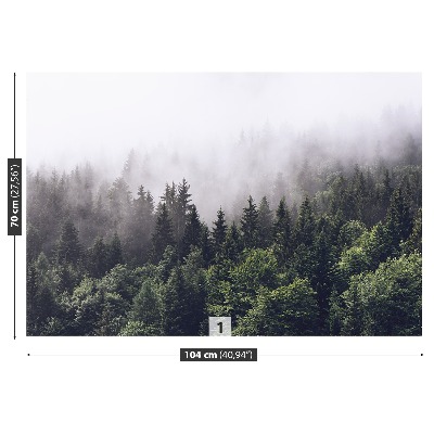 Papel de parede Floresta da Montanha