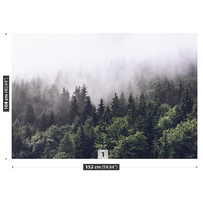 Papel de parede Floresta da Montanha