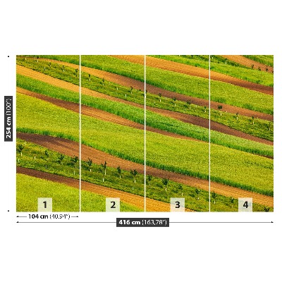 Papel de parede Fitas de campo