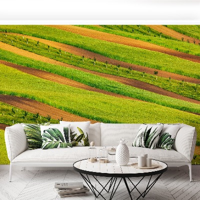 Papel de parede Fitas de campo