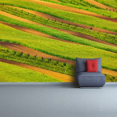 Papel de parede Fitas de campo