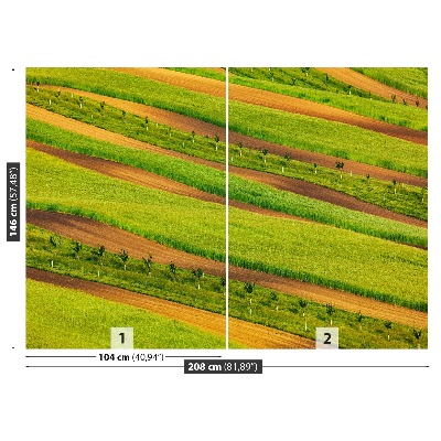 Papel de parede Fitas de campo