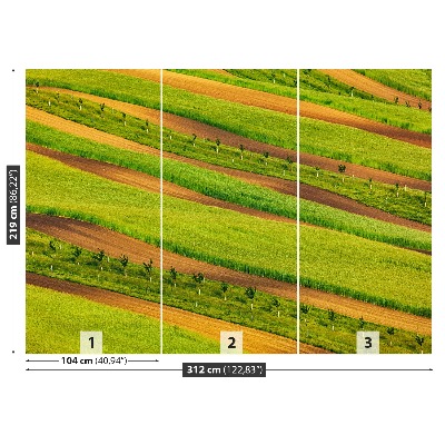 Papel de parede Fitas de campo