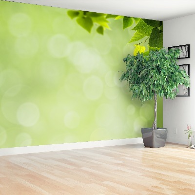 Papel de parede Folhas verdes