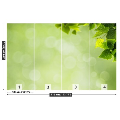 Papel de parede Folhas verdes