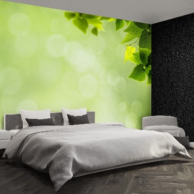 Papel de parede Folhas verdes