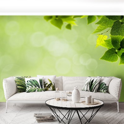 Papel de parede Folhas verdes