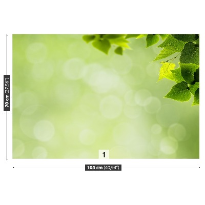 Papel de parede Folhas verdes