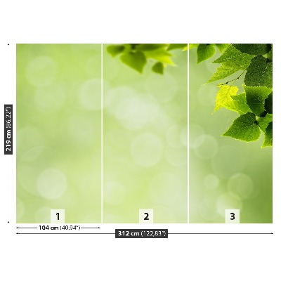 Papel de parede Folhas verdes