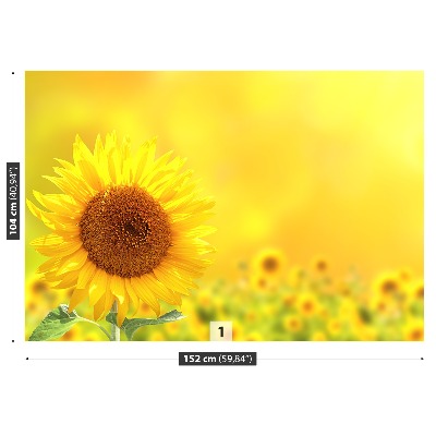 Papel de parede girassóis amarelos