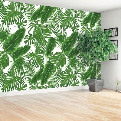 Papel de parede Folhas tropicais