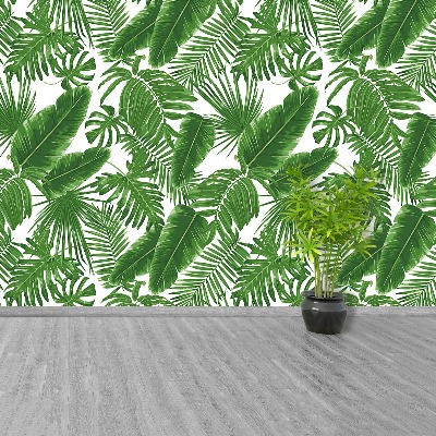 Papel de parede Folhas tropicais