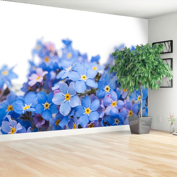 Papel de parede Miosótis