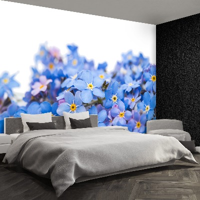 Papel de parede Miosótis