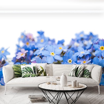 Papel de parede Miosótis