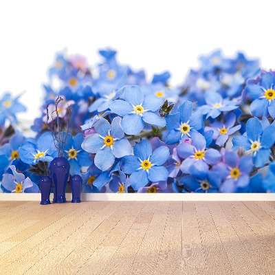 Papel de parede Miosótis