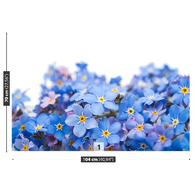 Papel de parede Miosótis