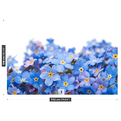 Papel de parede Miosótis