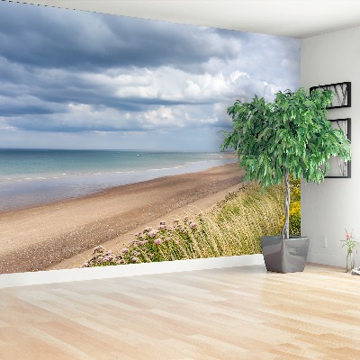 Mural de parede Costa da Praia