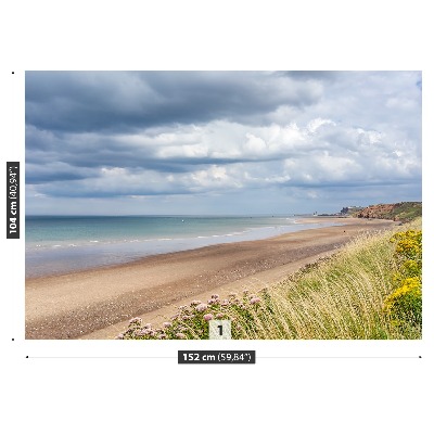 Mural de parede Costa da Praia