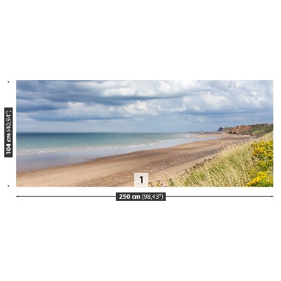 Mural de parede Costa da Praia