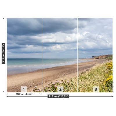 Mural de parede Costa da Praia