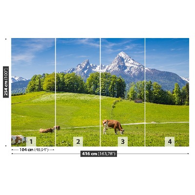 Papel de parede Vacas dos Alpes