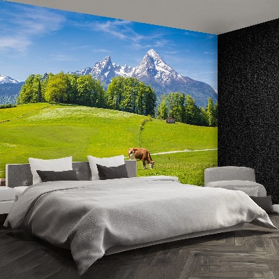 Papel de parede Vacas dos Alpes