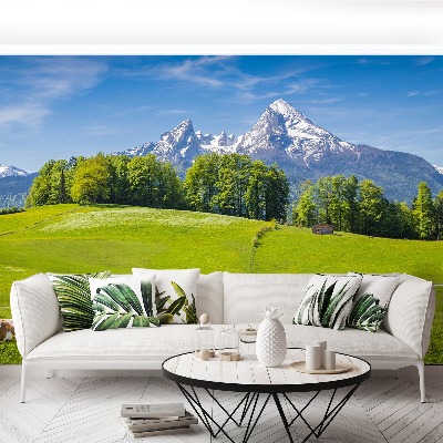 Papel de parede Vacas dos Alpes