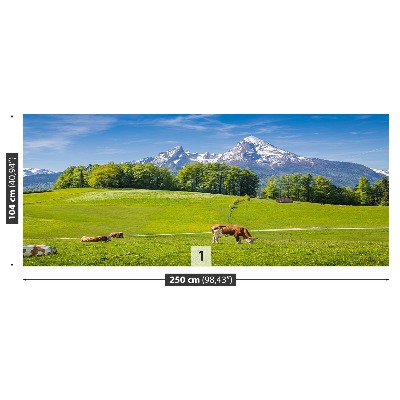 Papel de parede Vacas dos Alpes