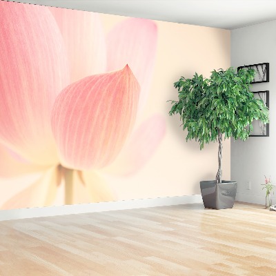 Mural de parede Lótus rosa