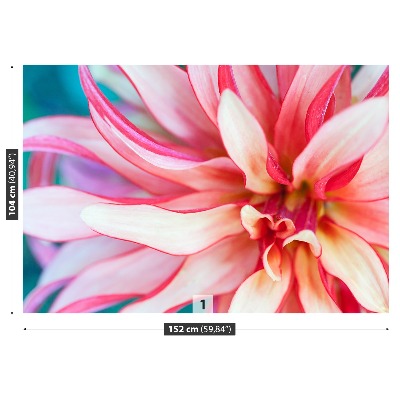 Papel de parede Flor exótica