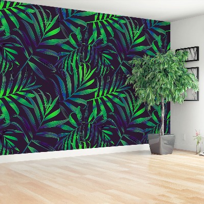 Papel de parede Folhas de palmeira