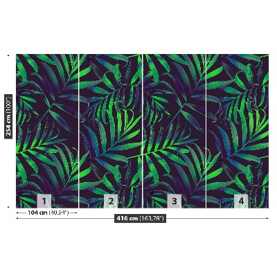 Papel de parede Folhas de palmeira