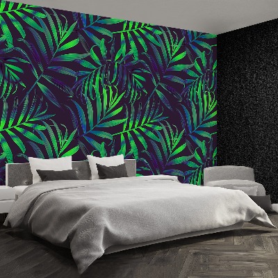 Papel de parede Folhas de palmeira