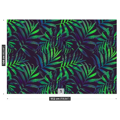 Papel de parede Folhas de palmeira
