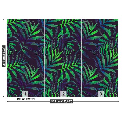 Papel de parede Folhas de palmeira