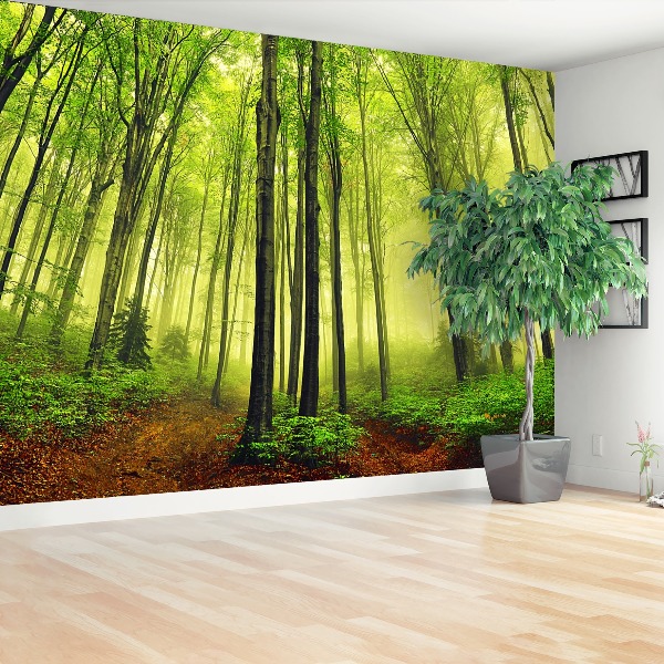 Papel de parede Floresta de Nevoeiro