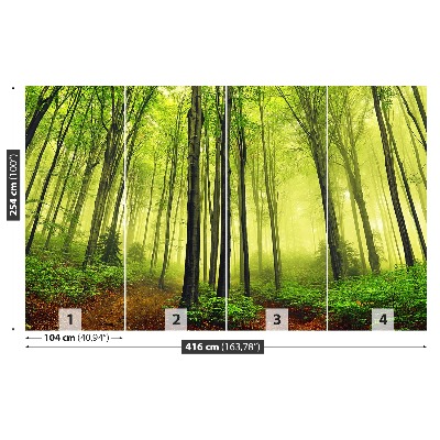 Papel de parede Floresta de Nevoeiro