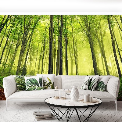 Papel de parede Floresta de Nevoeiro