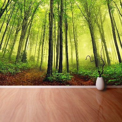 Papel de parede Floresta de Nevoeiro