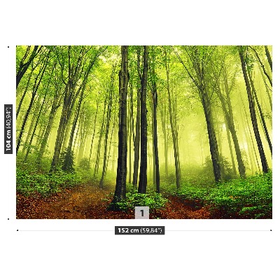 Papel de parede Floresta de Nevoeiro