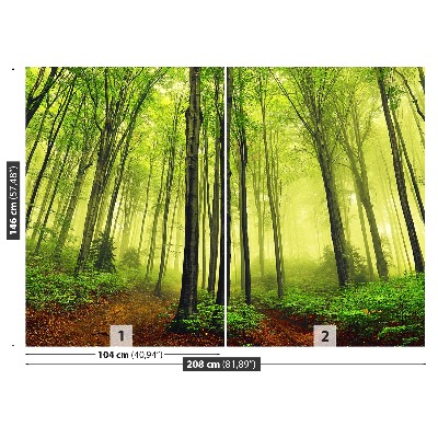 Papel de parede Floresta de Nevoeiro